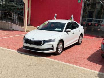 סקודה אוקטביה