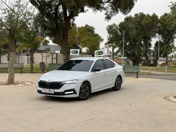 סקודה אוקטביה