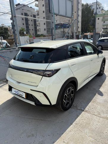 בי ווי די BYD DOLPHIN