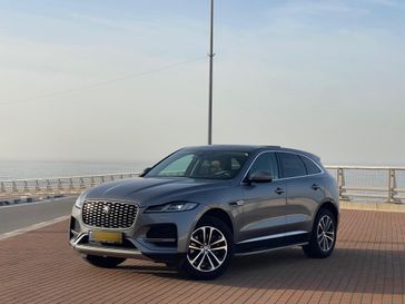 יגואר F-PACE