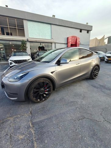 טסלה MODEL Y