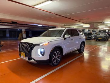 יונדאי פליסייד