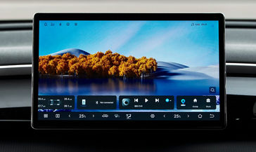 בי ווי די SEALION 5