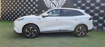 פורתינג FRIDAY