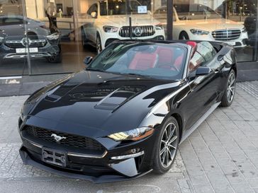 פורד MUSTANG
