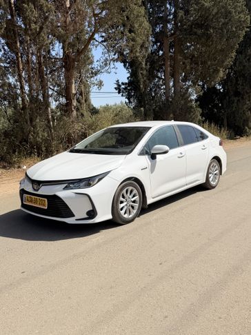 טויוטה קורולה