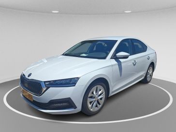 סקודה אוקטביה