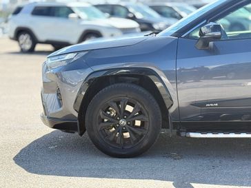 טויוטה RAV4