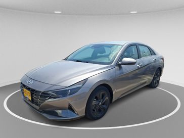 יונדאי אלנטרה