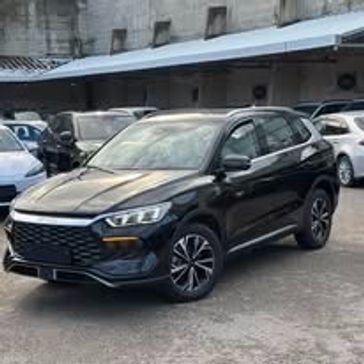 בי ווי די SEALION 5