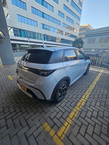 בי ווי די BYD DOLPHIN