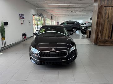 סקודה אוקטביה