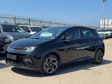 בי ווי די BYD DOLPHIN