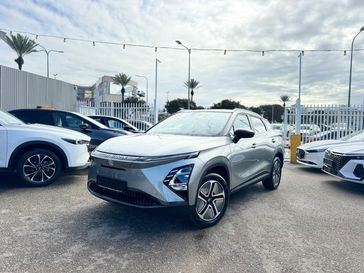 צ'רי FX EV