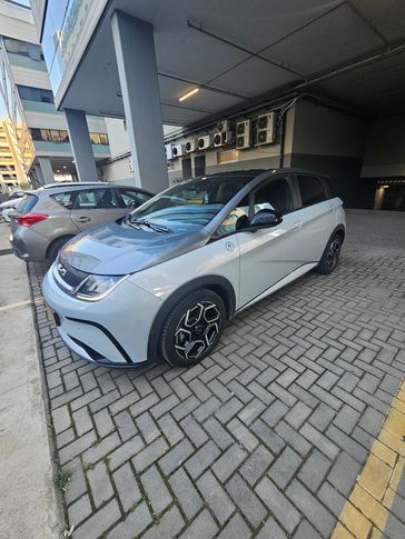 בי ווי די BYD DOLPHIN